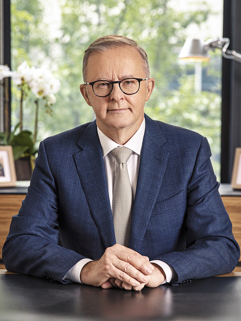 Anthony Albanese portrait