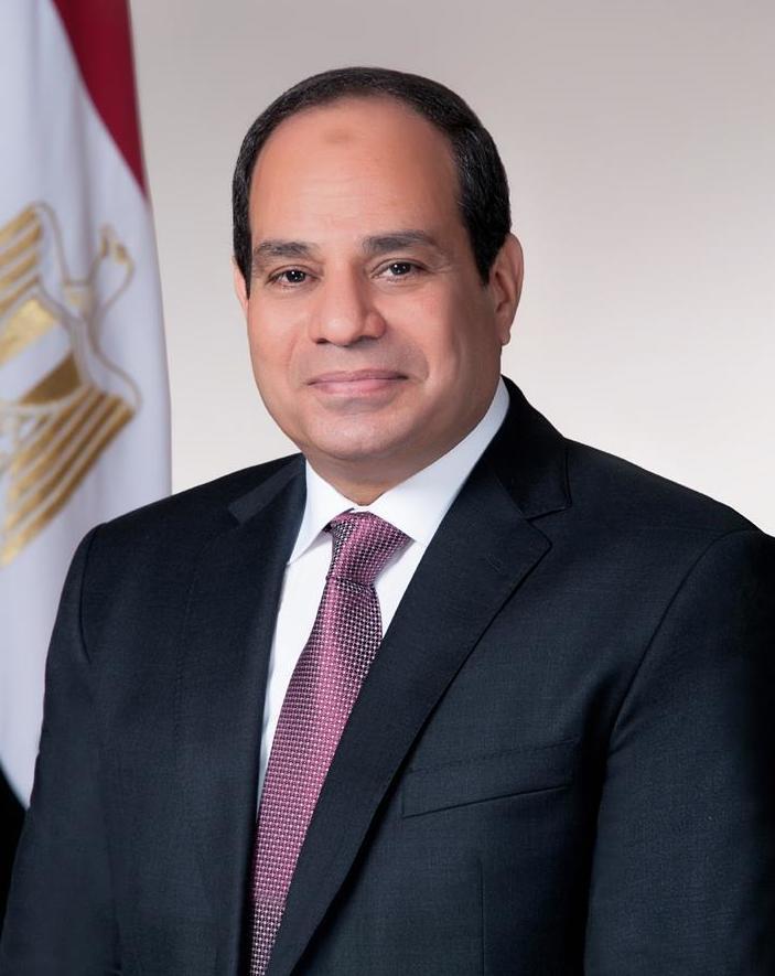 Abdel Fattah el-Sisi portrait