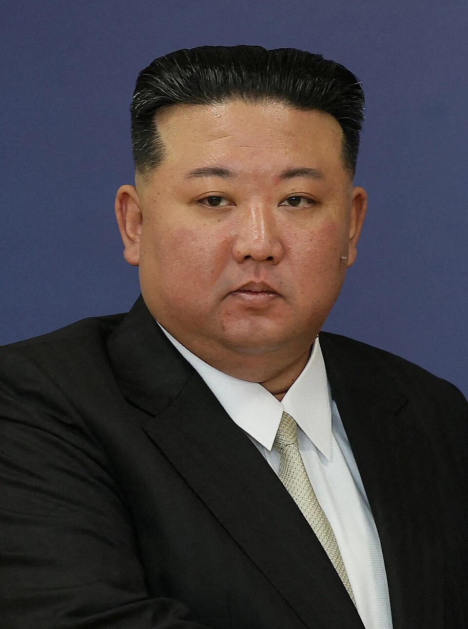 Kim Jong Un portrait